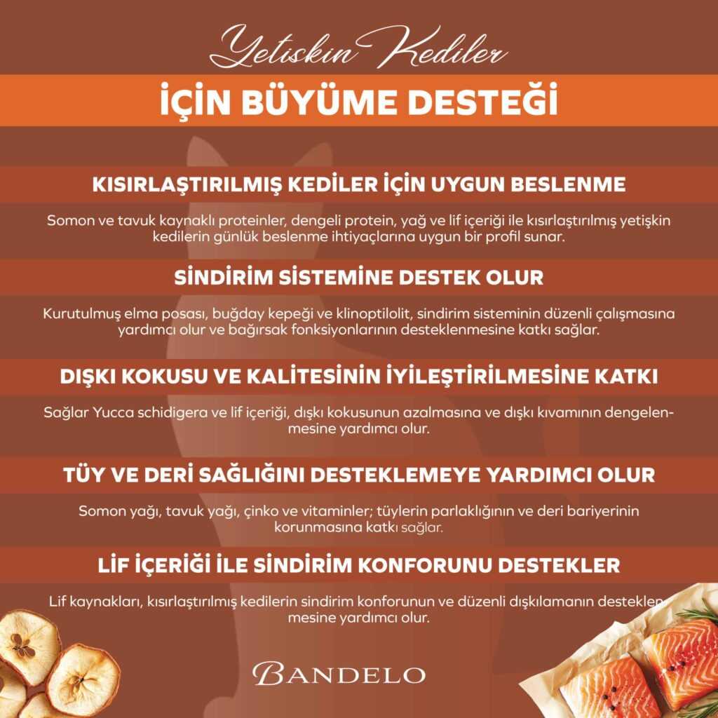 BandeloSomonluKısırlaştırılmışYetişkinKuruKediMaması2KG_KiloKontrolüDengeleyi005