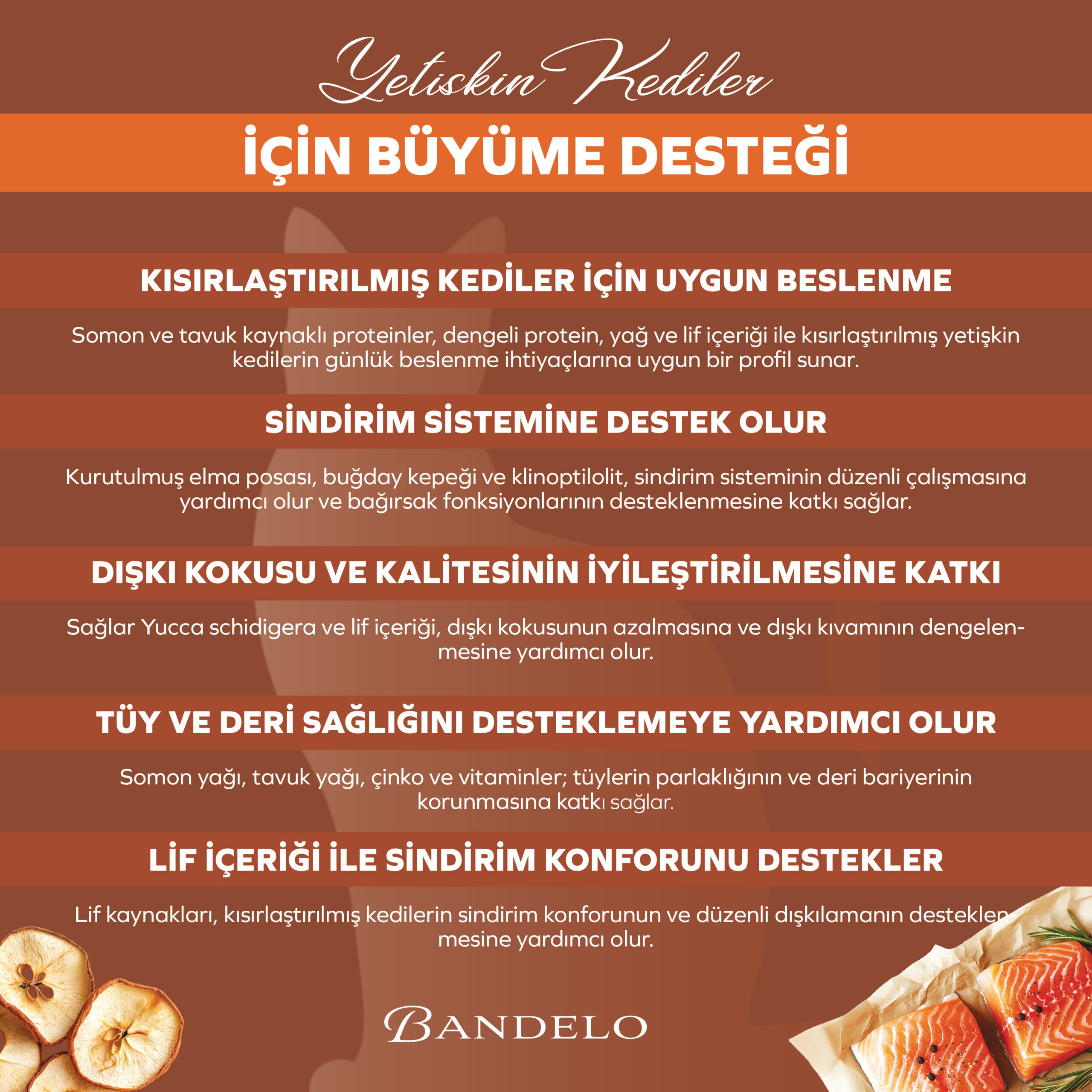 BandeloSomonluKısırlaştırılmışYetişkinKuruKediMaması2KG_KiloKontrolüDengeleyi005