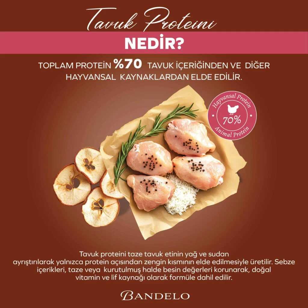 BandeloTavukluSebzeliYavruKuruKediMaması2KG_BesleyiciGelişimDestekleyiciMama002