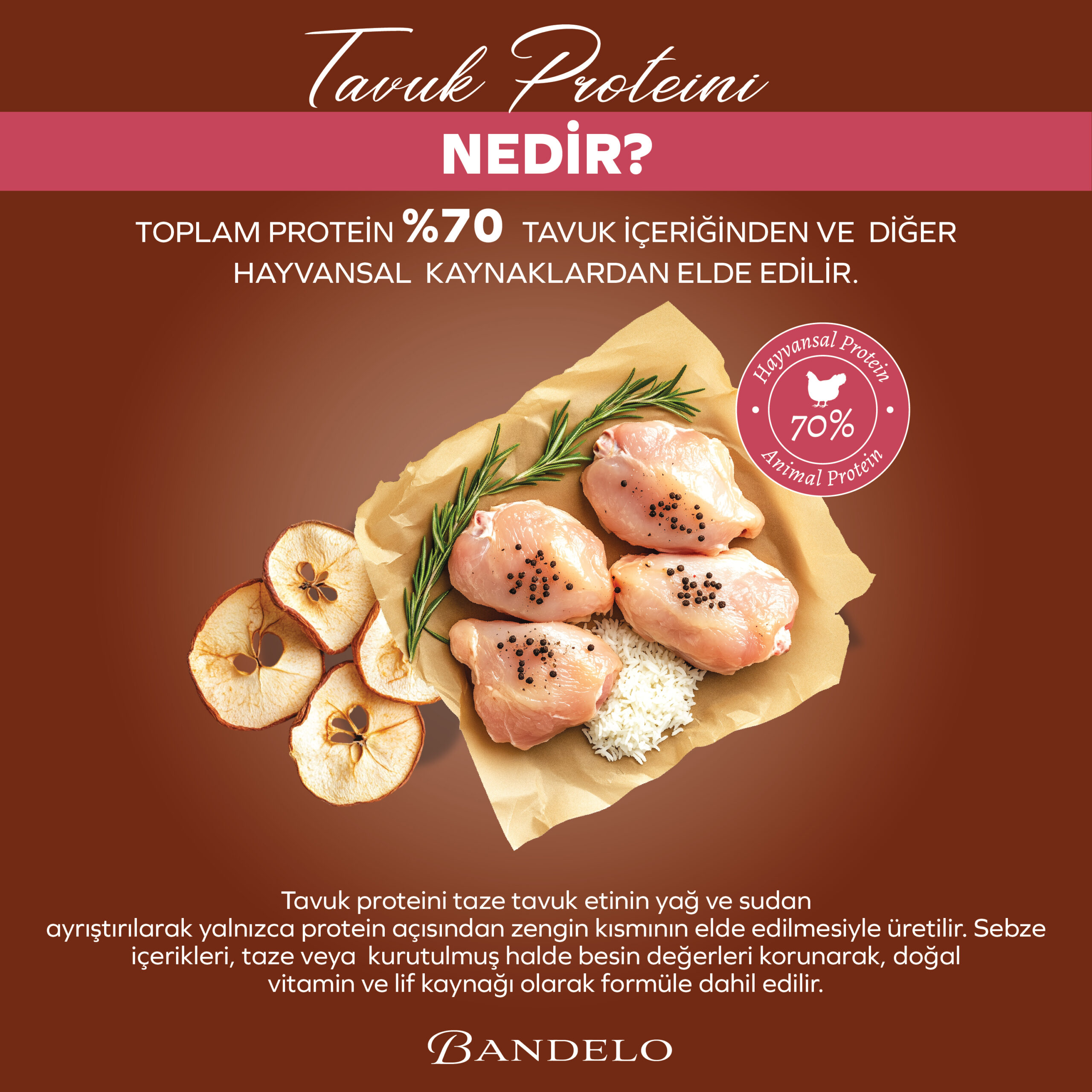 BandeloTavukluSebzeliYavruKuruKediMaması2KG_BesleyiciGelişimDestekleyiciMama002