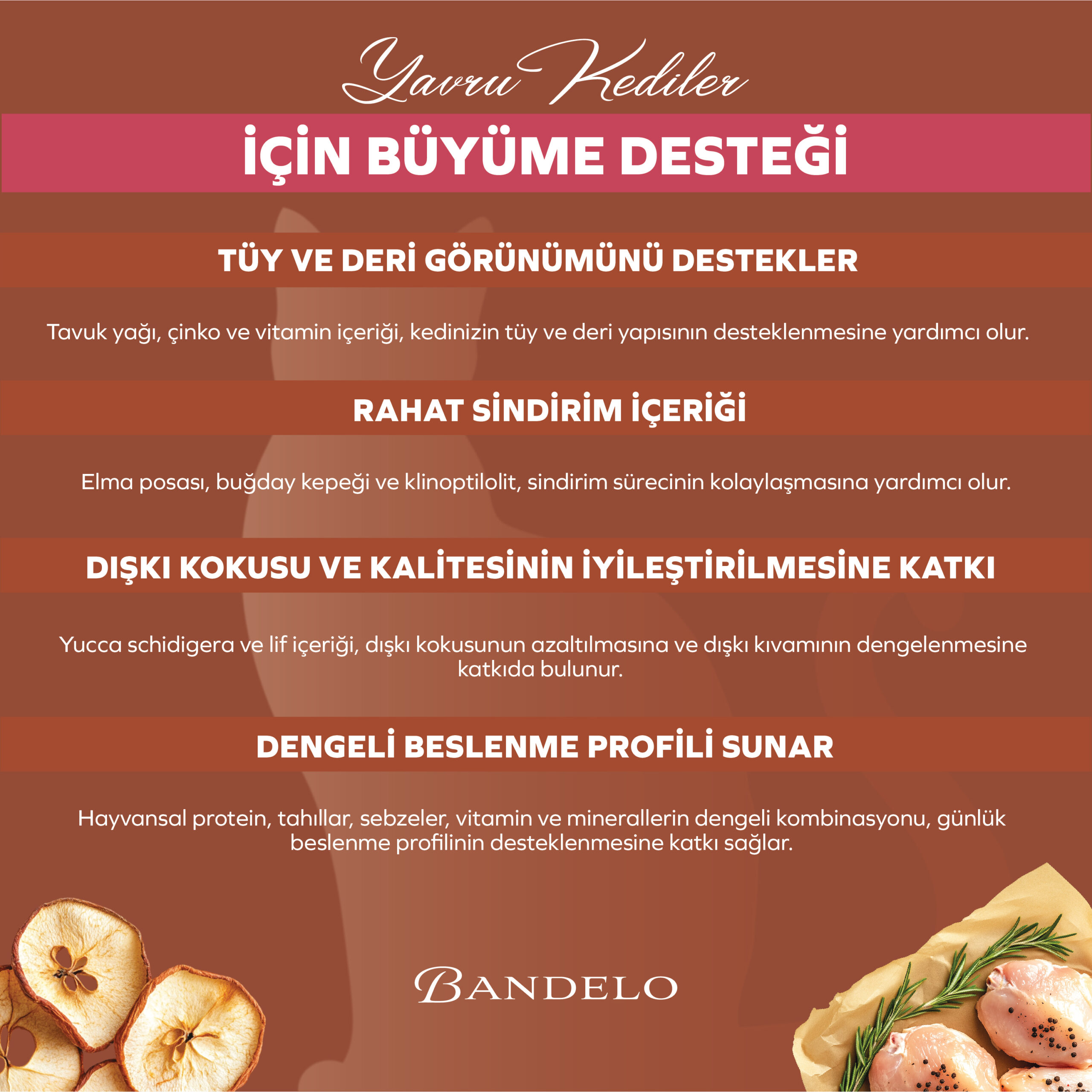 BandeloTavukluSebzeliYavruKuruKediMaması2KG_BesleyiciGelişimDestekleyiciMama006