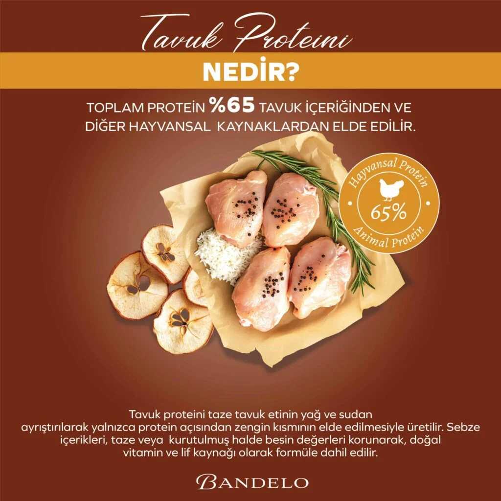 BandeloTavukluSebzeliYetişkinKuruKediMaması2Kg_BesleyiciHayvansalProteinDengeliMama002