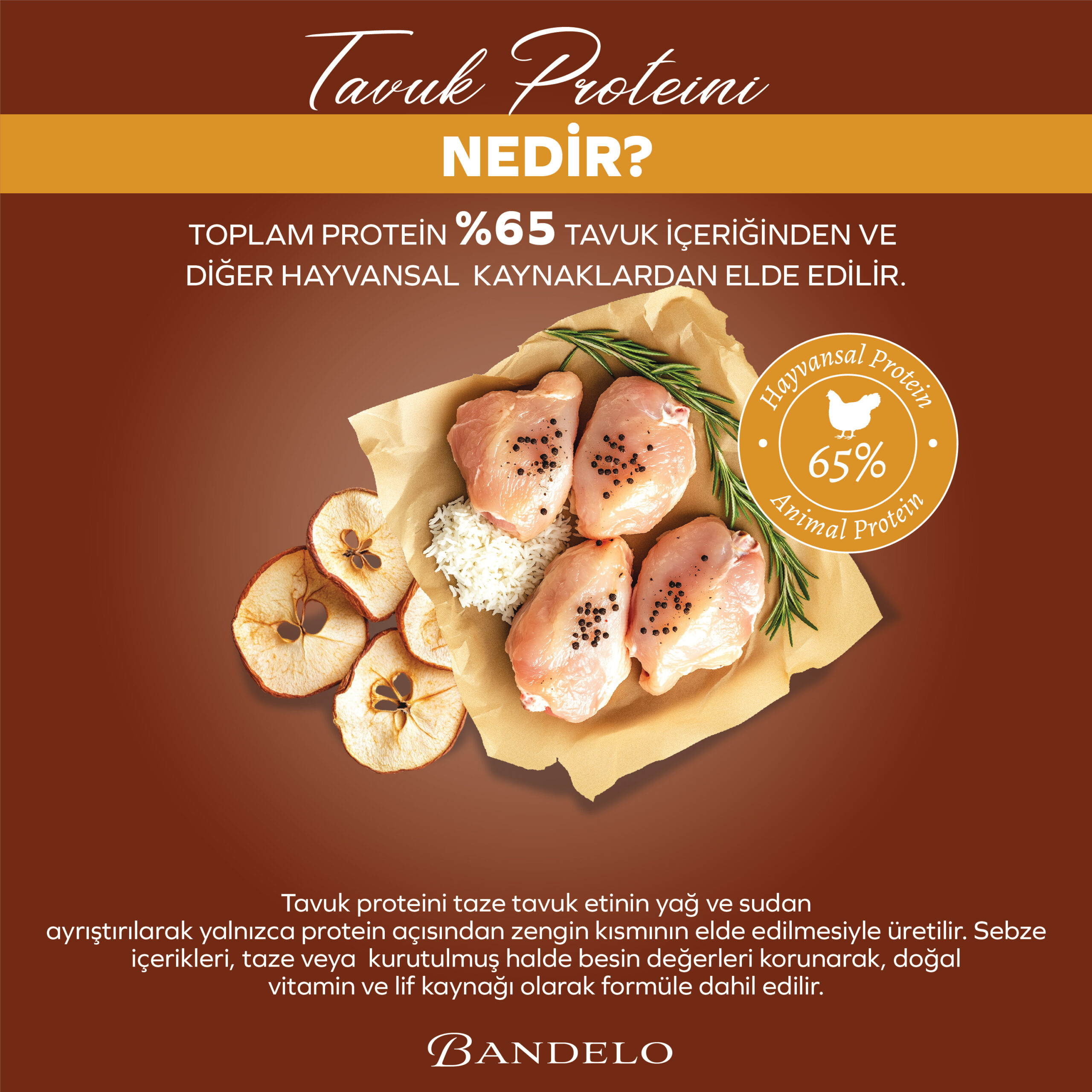 BandeloTavukluSebzeliYetişkinKuruKediMaması2Kg_BesleyiciHayvansalProteinDengeliMama002