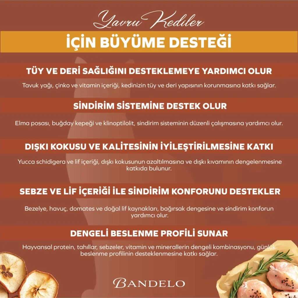 BandeloTavukluSebzeliYetişkinKuruKediMaması2Kg_BesleyiciHayvansalProteinDengeliMama006