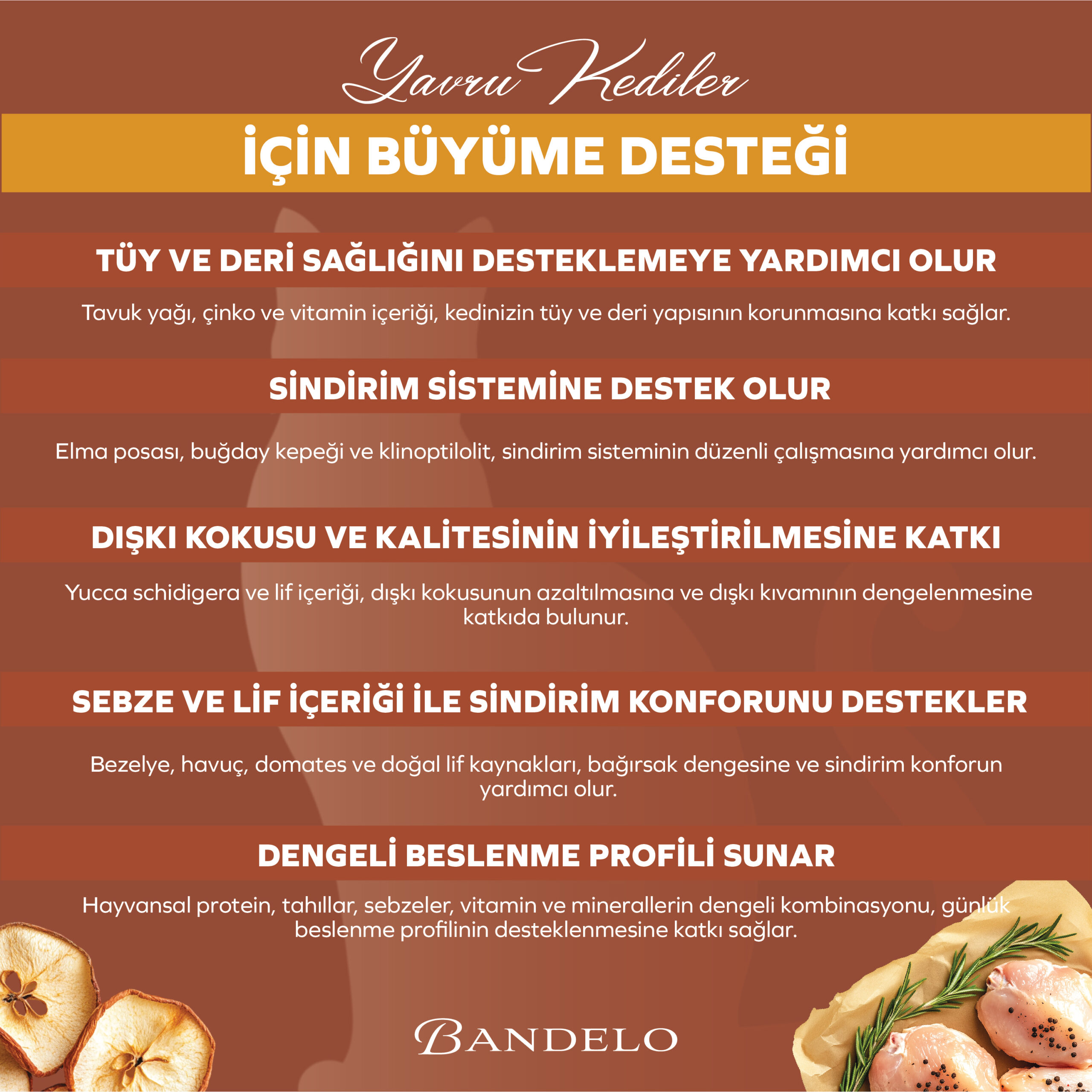 BandeloTavukluSebzeliYetişkinKuruKediMaması2Kg_BesleyiciHayvansalProteinDengeliMama006