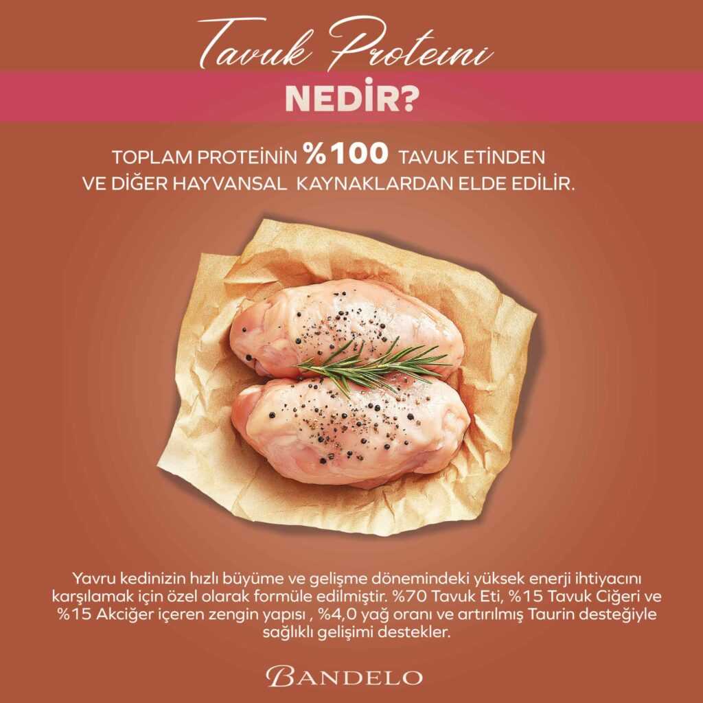 Yaş Kedi Maması Bandelo Tavuklu Yavru 85g