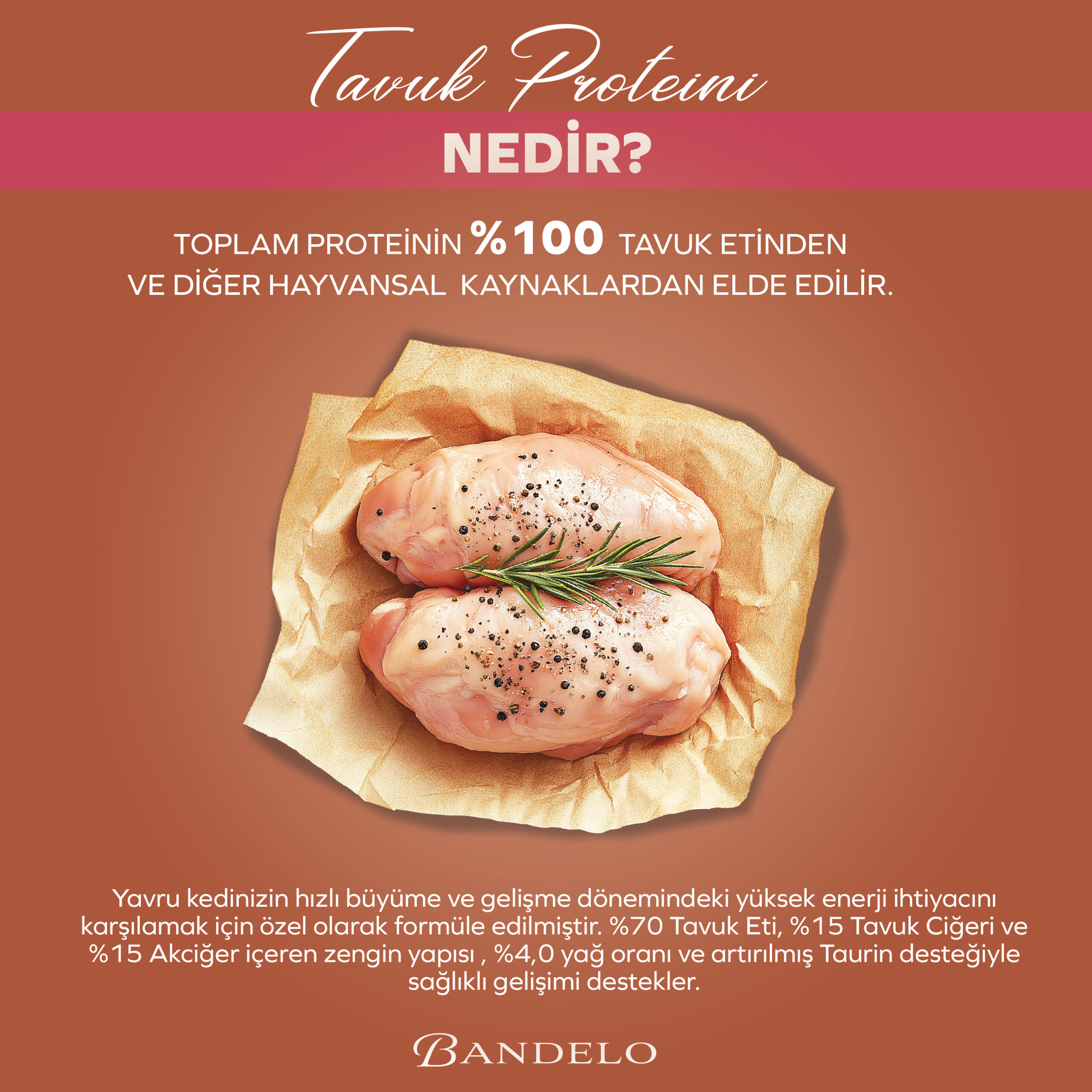 Yaş Kedi Maması Bandelo Tavuklu Yavru 85g