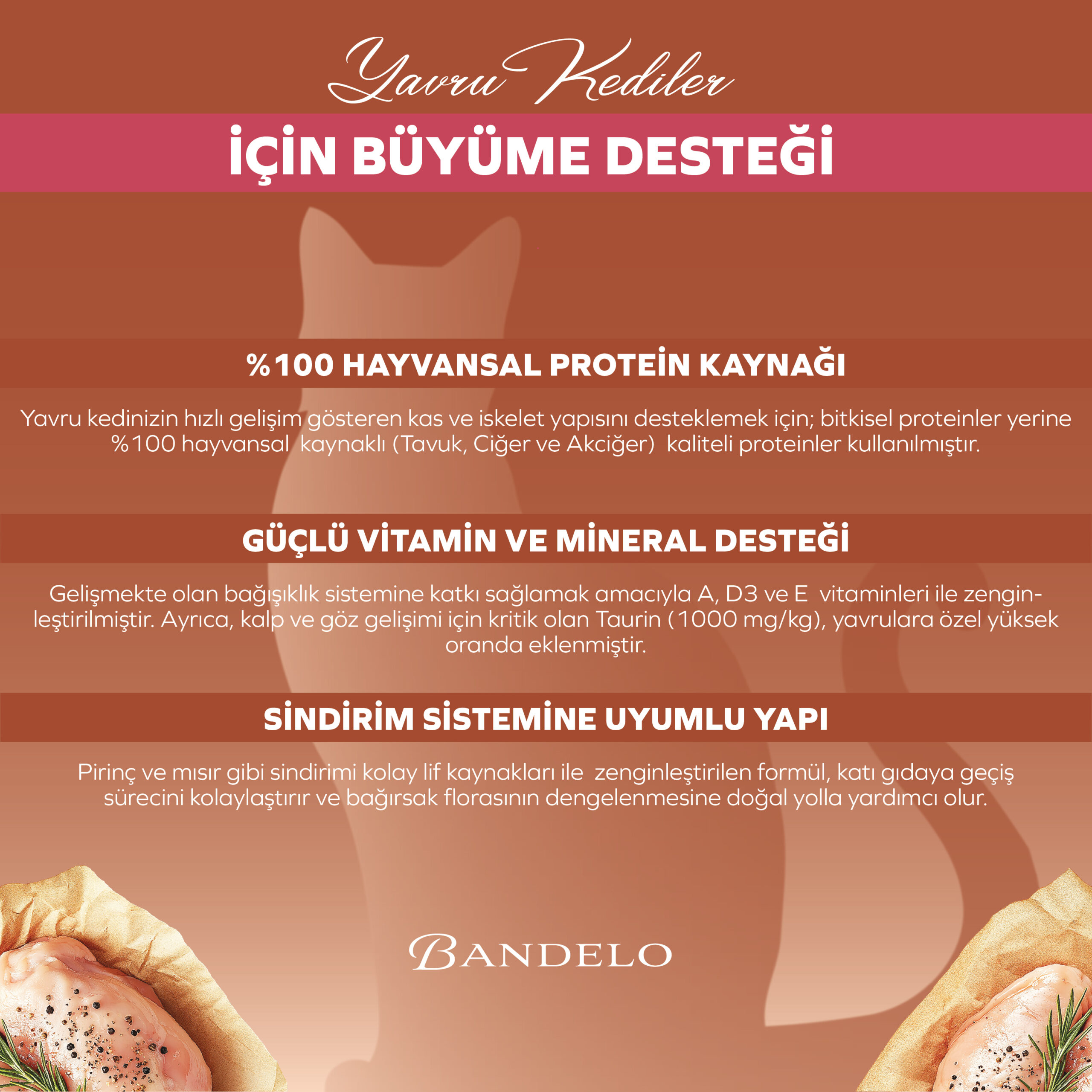 Yaş Kedi Maması Bandelo Tavuklu Yavru 85g