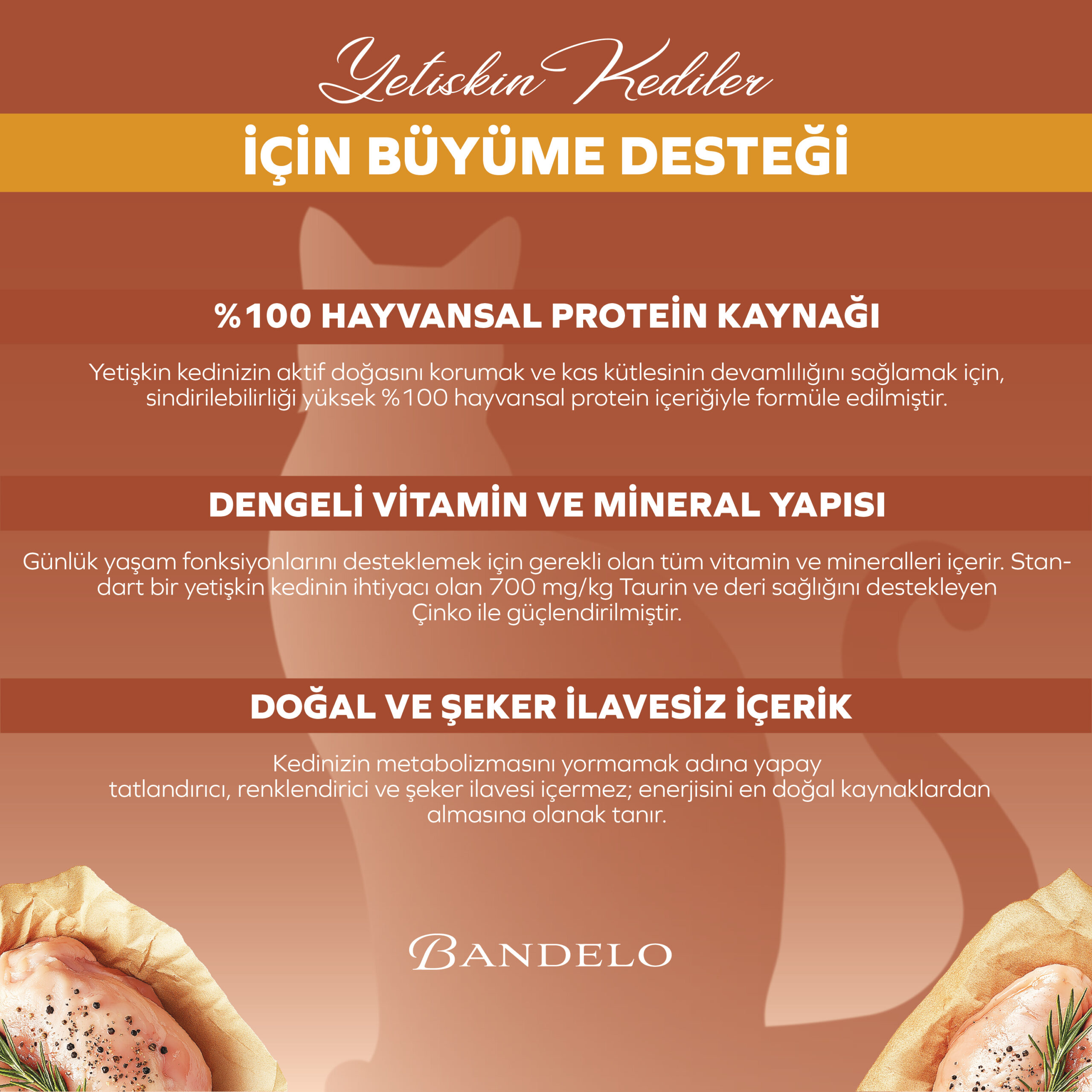 Yaş Kedi Maması Bandelo Tavuklu Yetişkin Kedi Konservesi004