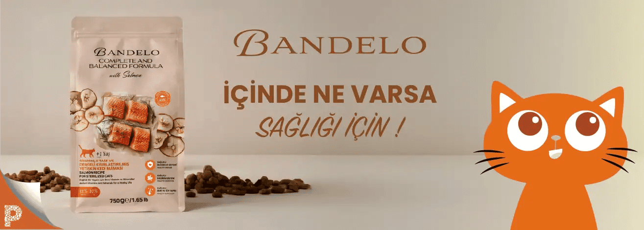 Image Slider