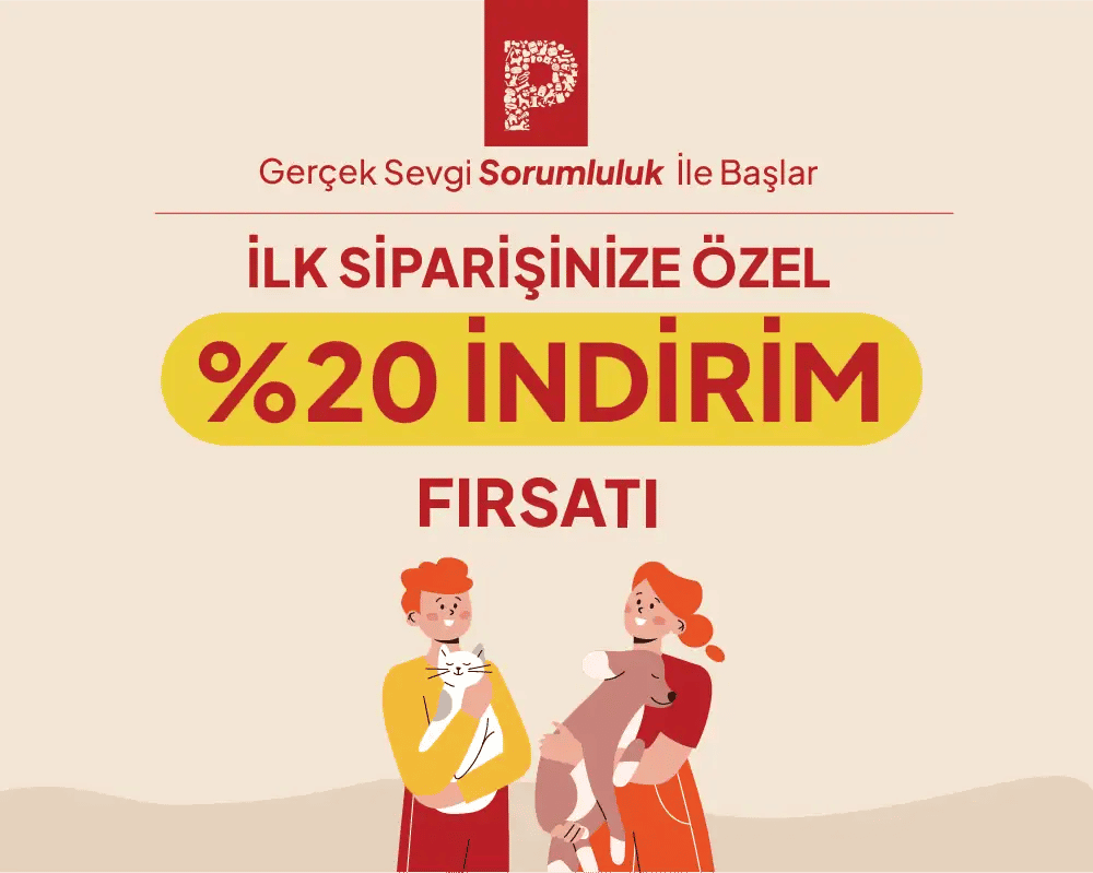 Image Slider