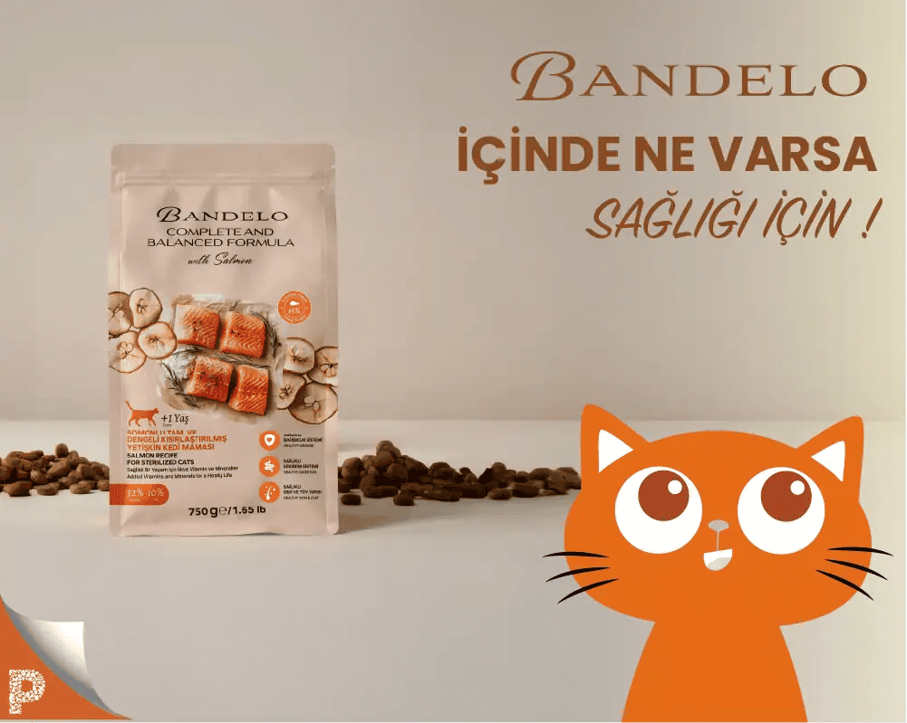 Image Slider